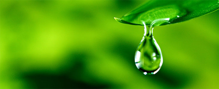 ウエルネス&ニュートリションの画像