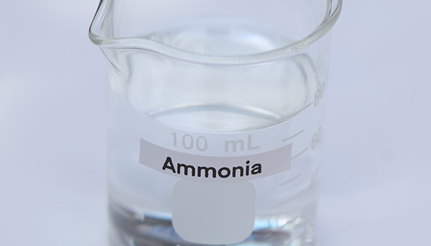 Ammonia image