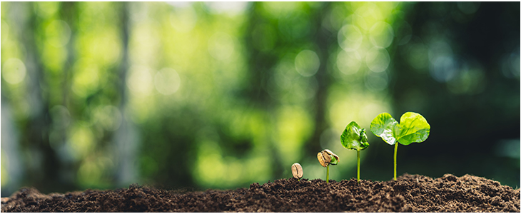 サーキュラーエコノミーチームの画像