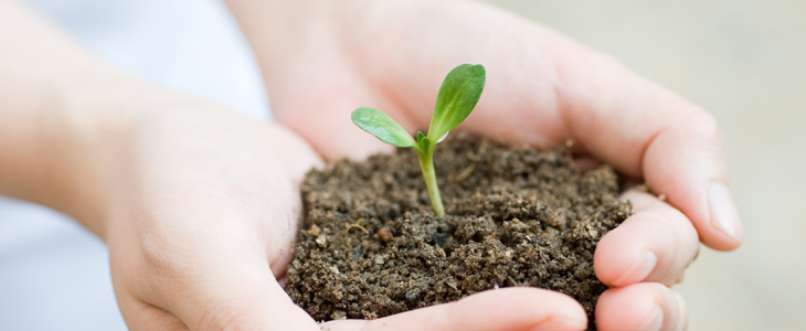 Specialty Materials Dept.